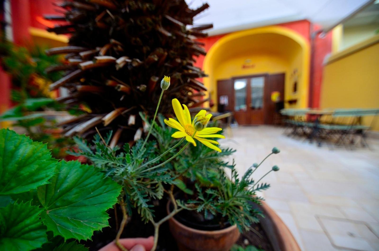 Manouche Osteria B&B San Leucio Экстерьер фото