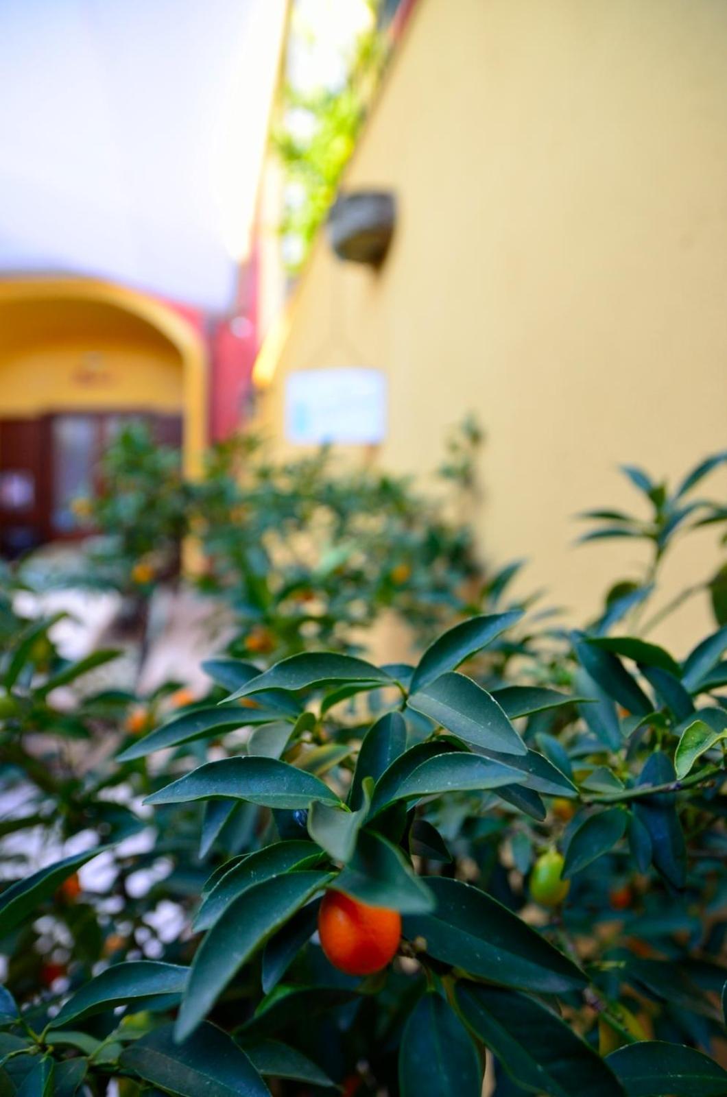 Manouche Osteria B&B San Leucio Экстерьер фото